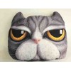 3D Kedi&Köpek Yastıklar